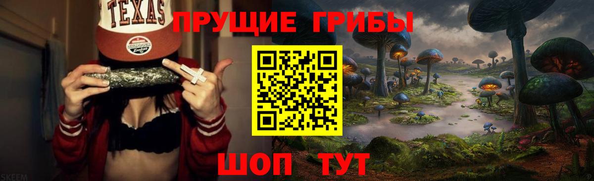 Псилоцибиновые грибы MAGIC MUSHROOMS  Вход с VPN  Каменск-Уральский 